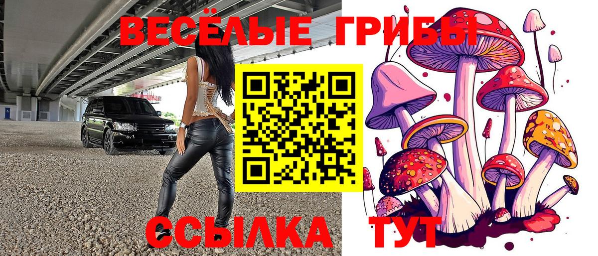 Ступино  Галлюциногенные грибы Magic Shrooms  Вход с VPN 