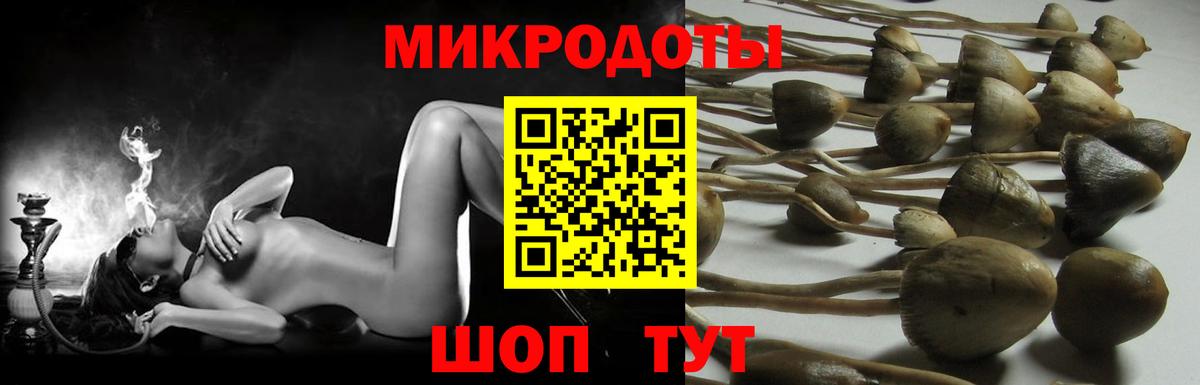 Псилоцибиновые грибы прущие грибы Ступино